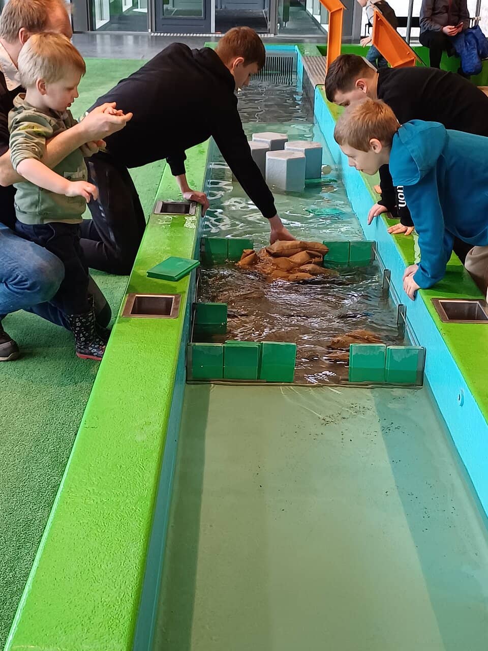 Peaceful Walking Trails