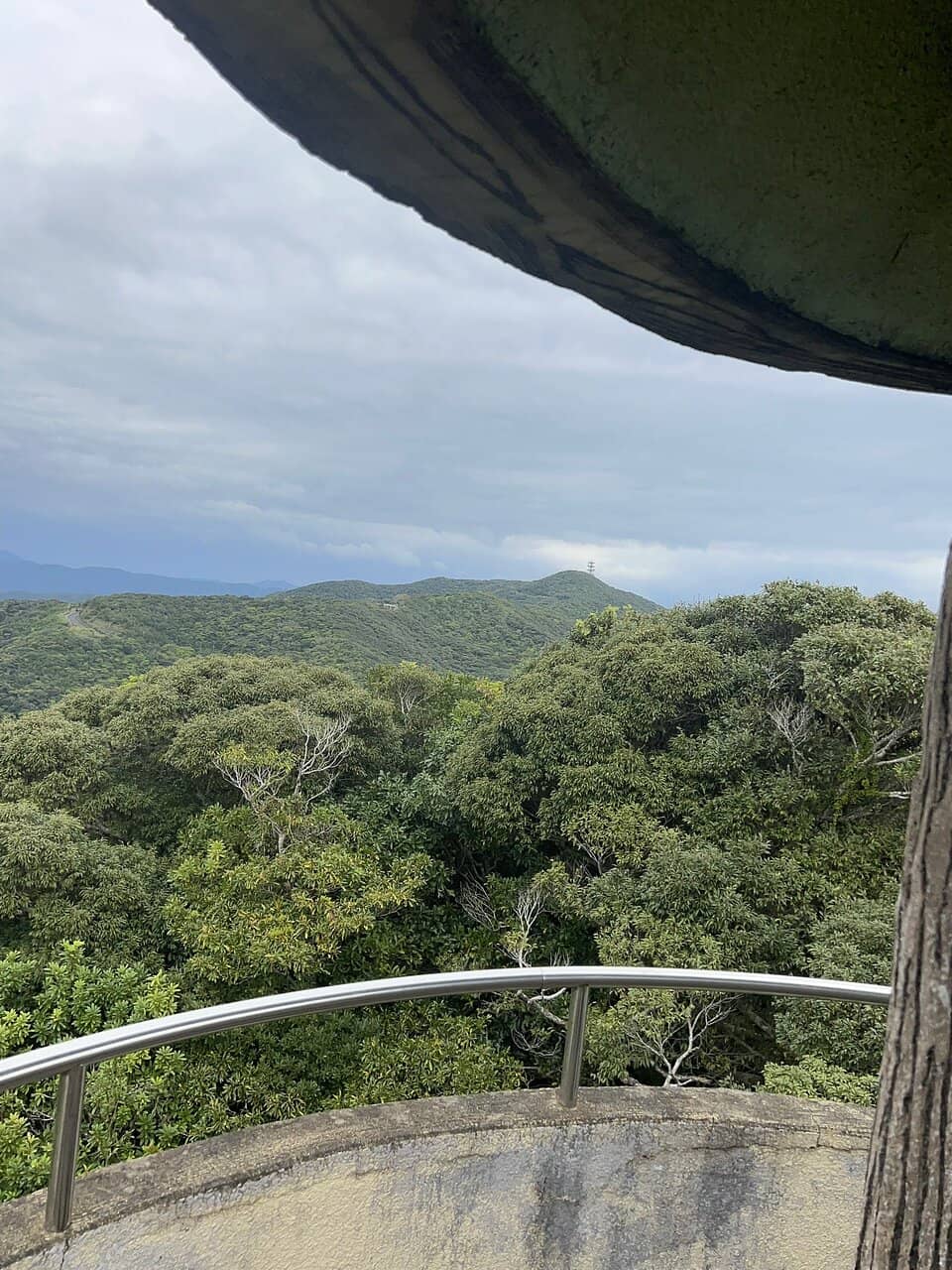 Unique Tree-Like Tower