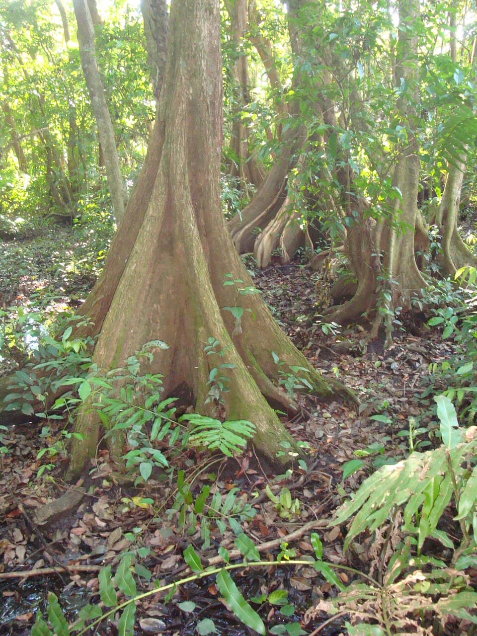 Abundant Wildlife Sightings