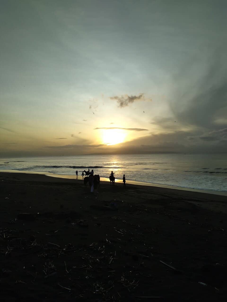 Black Sand Shores