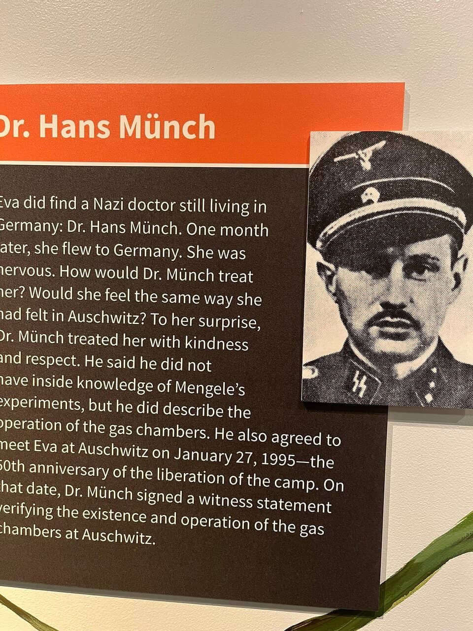 The Rise of Fascism Exhibit