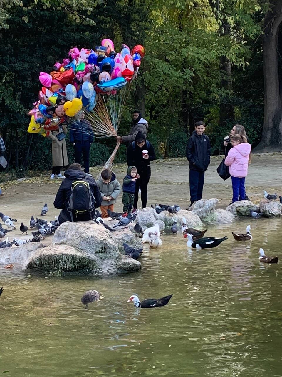 Peaceful Green Escape