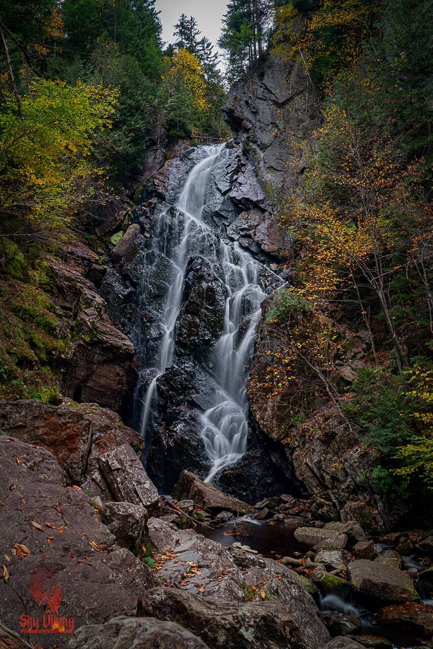 Refreshing Stream Crossings