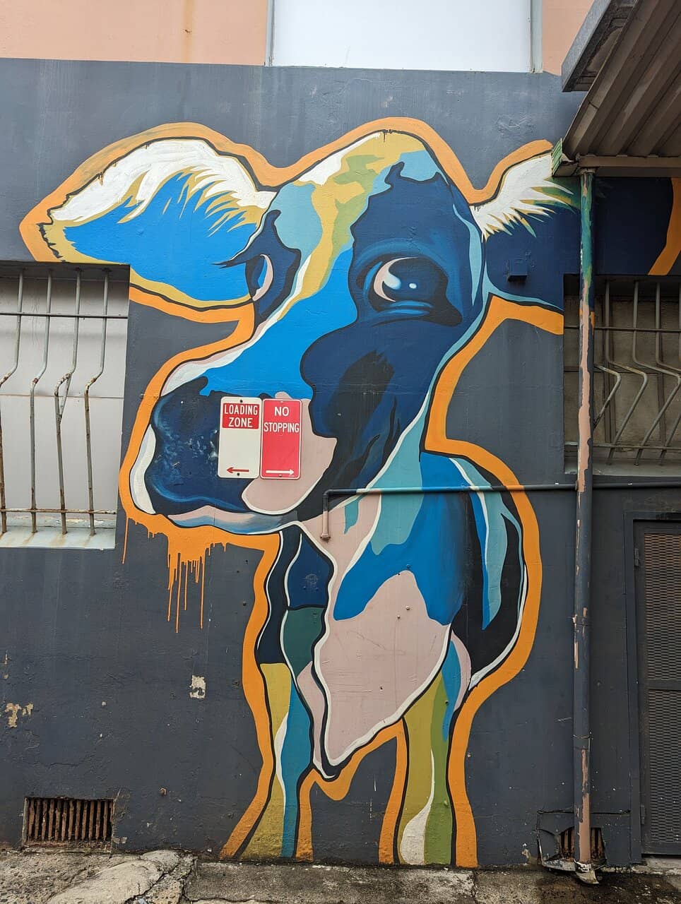 Local Artist Showcases