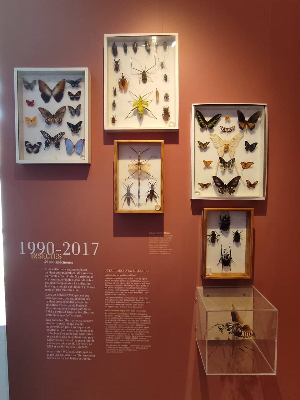 Indian Ocean Collections