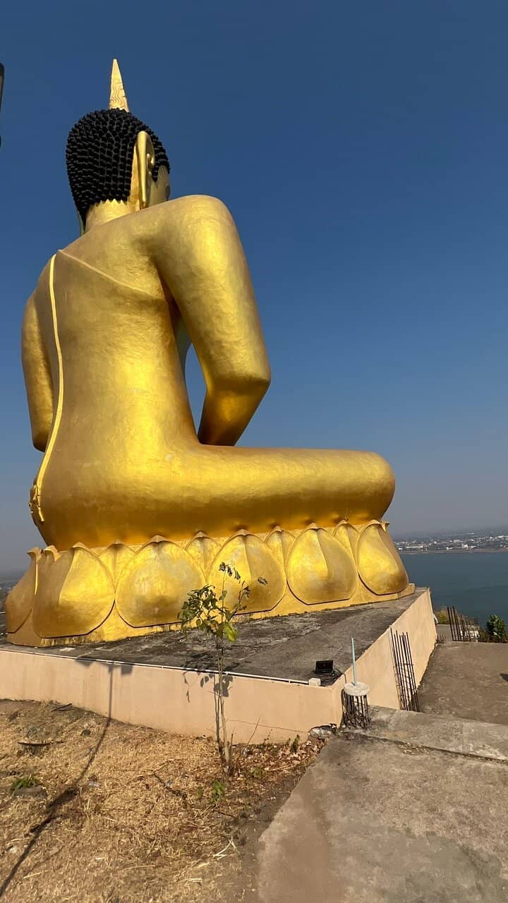 Panoramic City Views