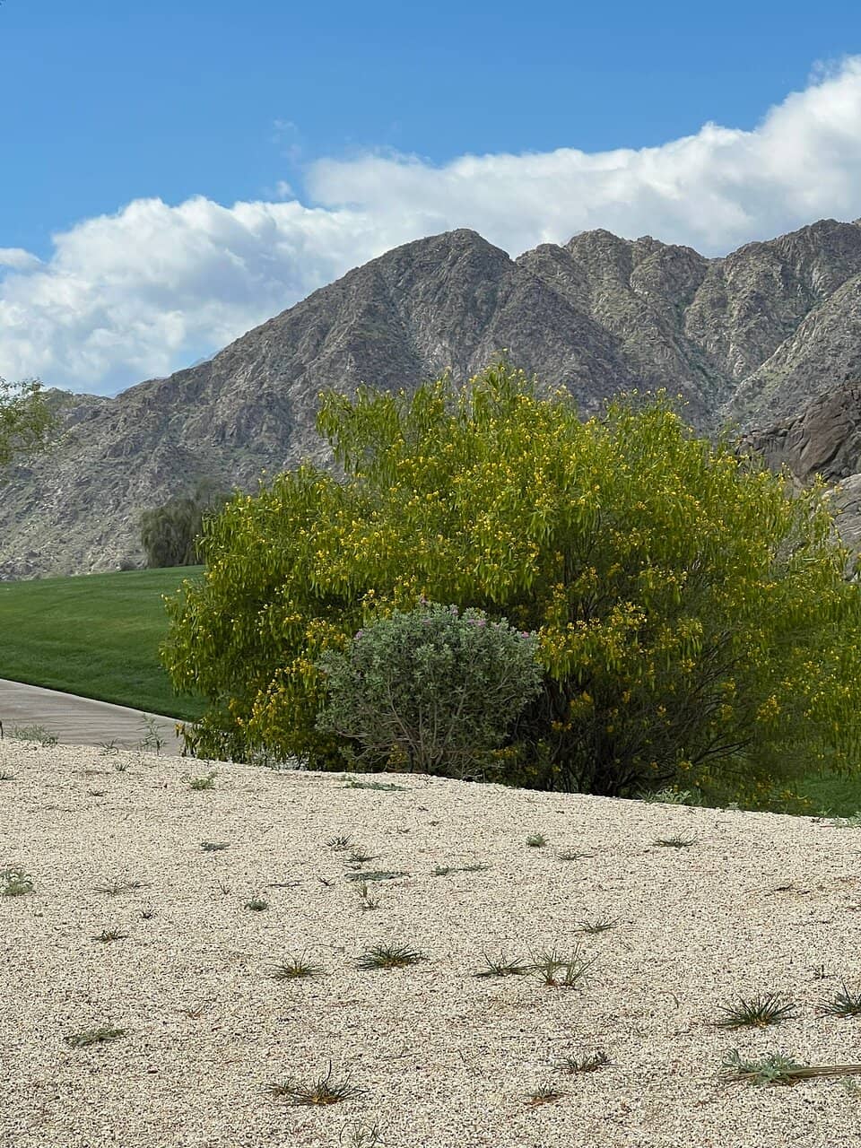 Expansive Practice Area