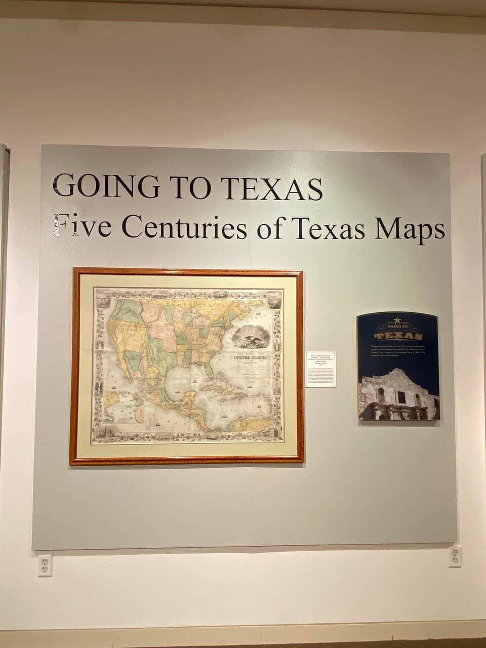 Lamella Arch Ceiling