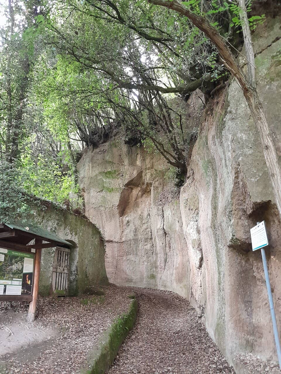 Panoramic Tuscan Views