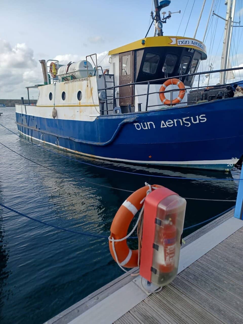 Seabird and Seal Spotting