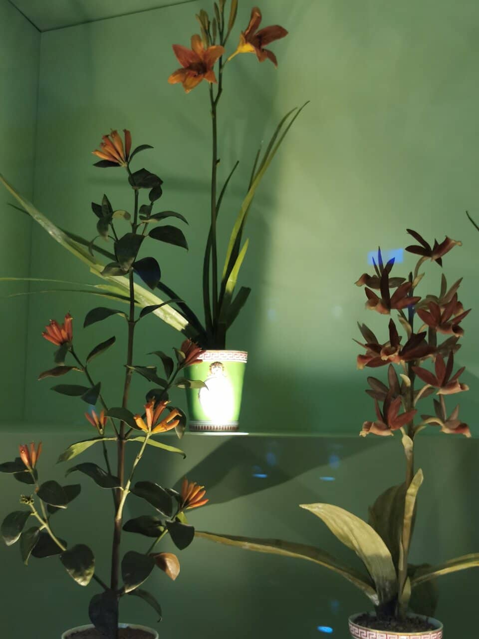 Medici Mineral Collection