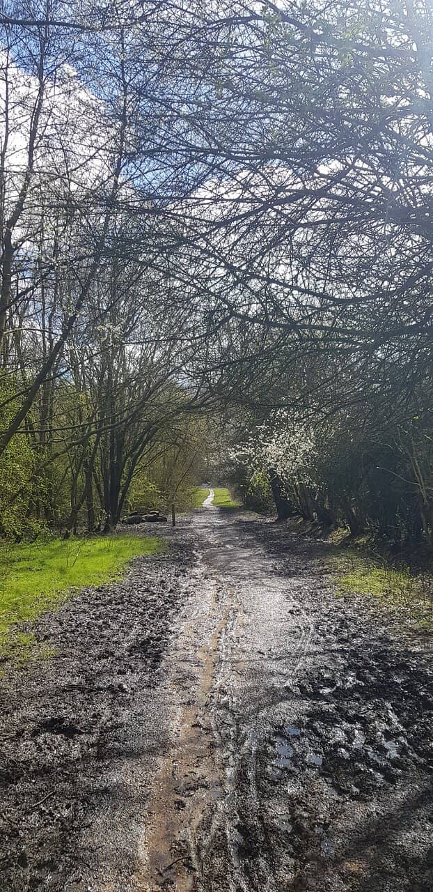 Playground & Picnic Spots