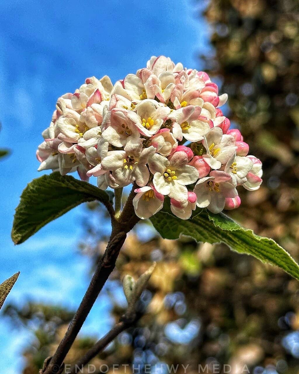 Peaceful Walking Trails