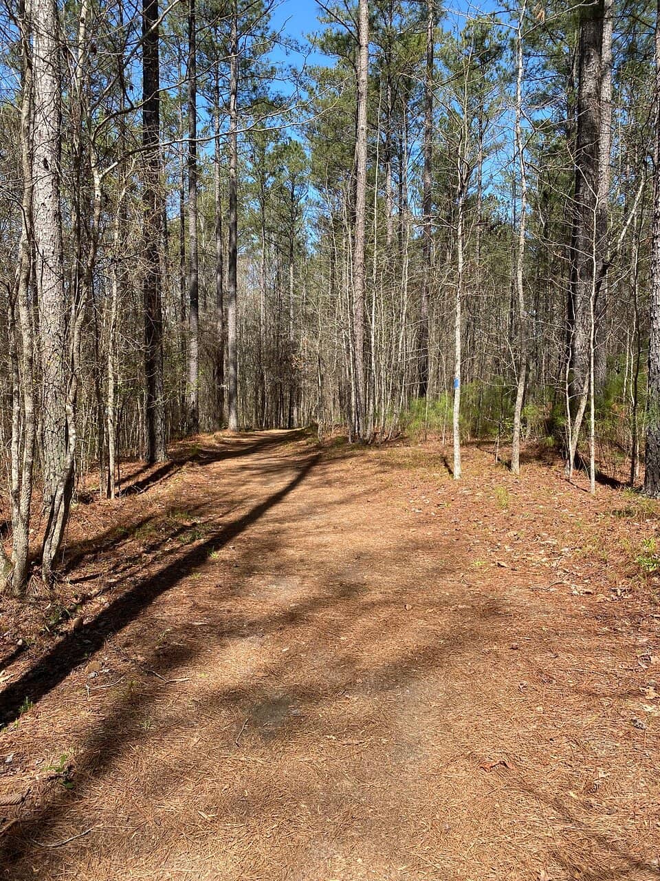 Mountain Biking Paths