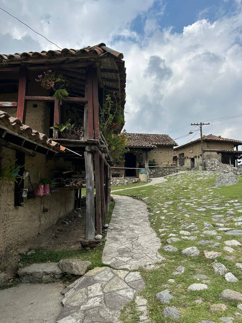 The Thrilling Toboggan