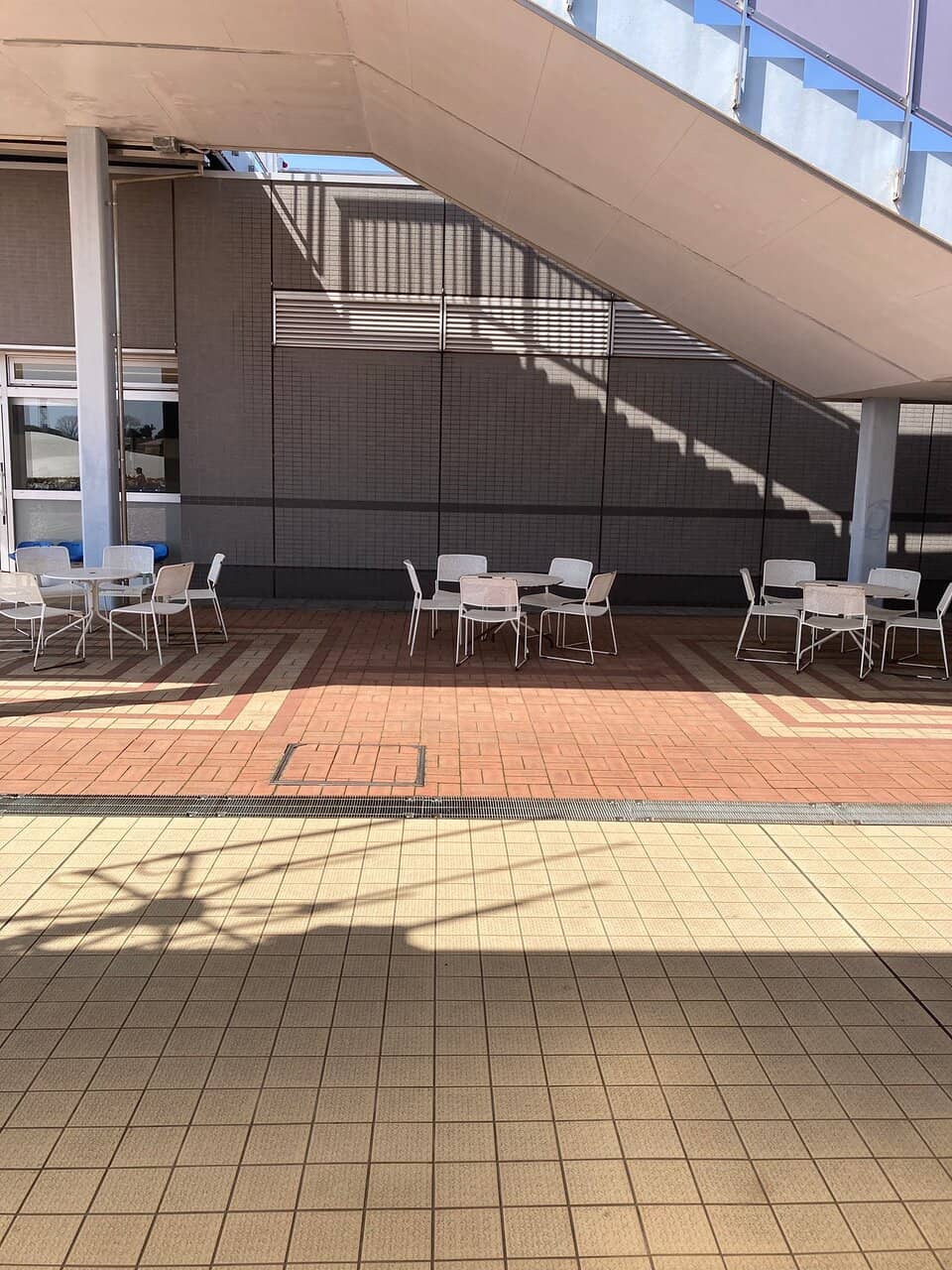 Turfy Shop Treasures