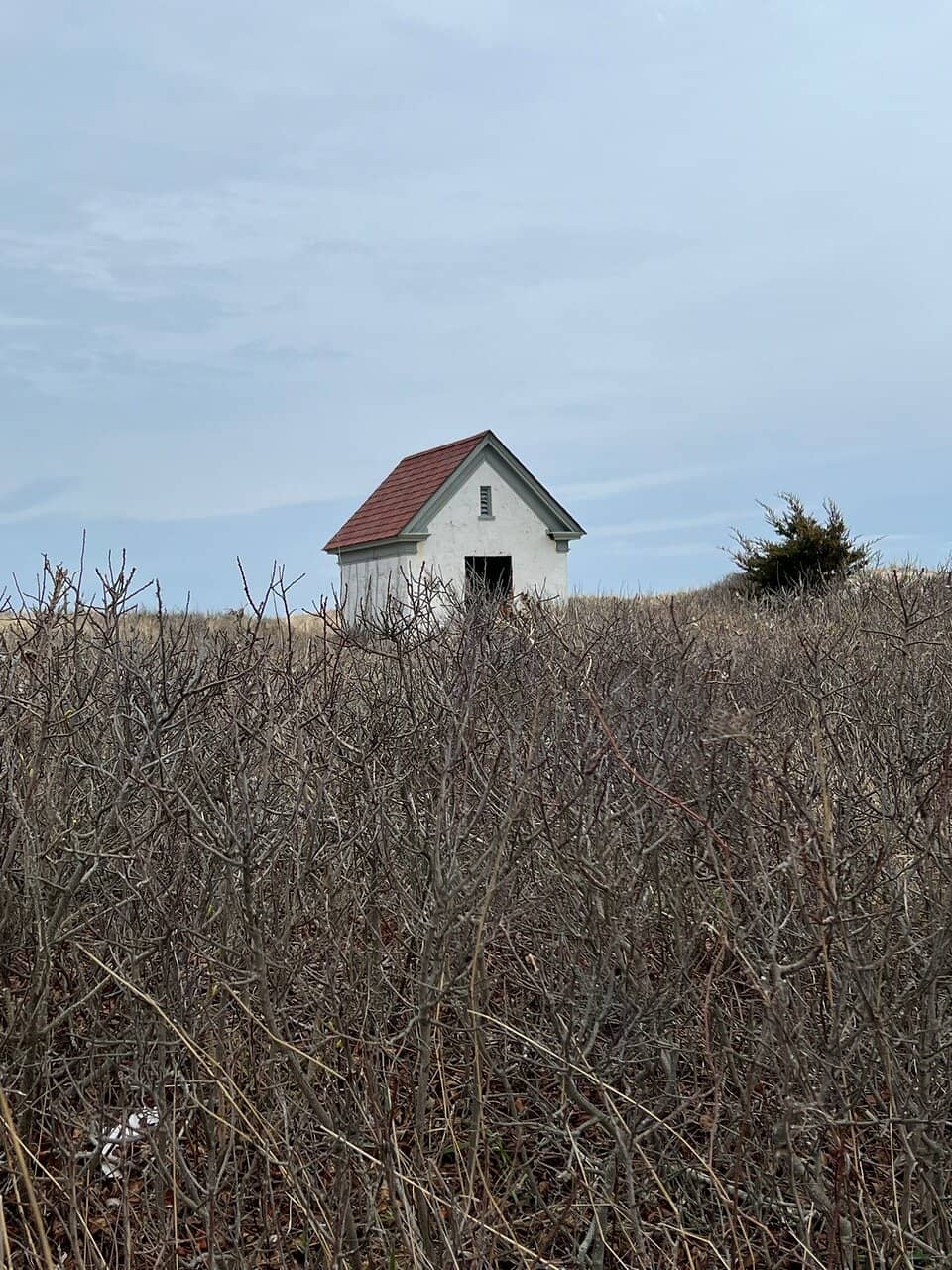 The Breakwater Causeway