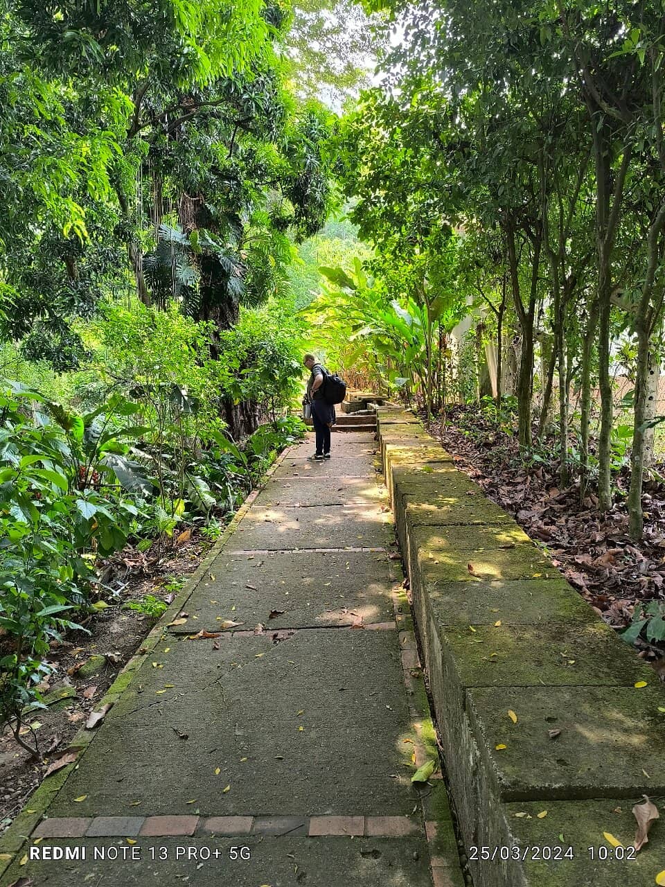 Tranquil Ponds & Creeks