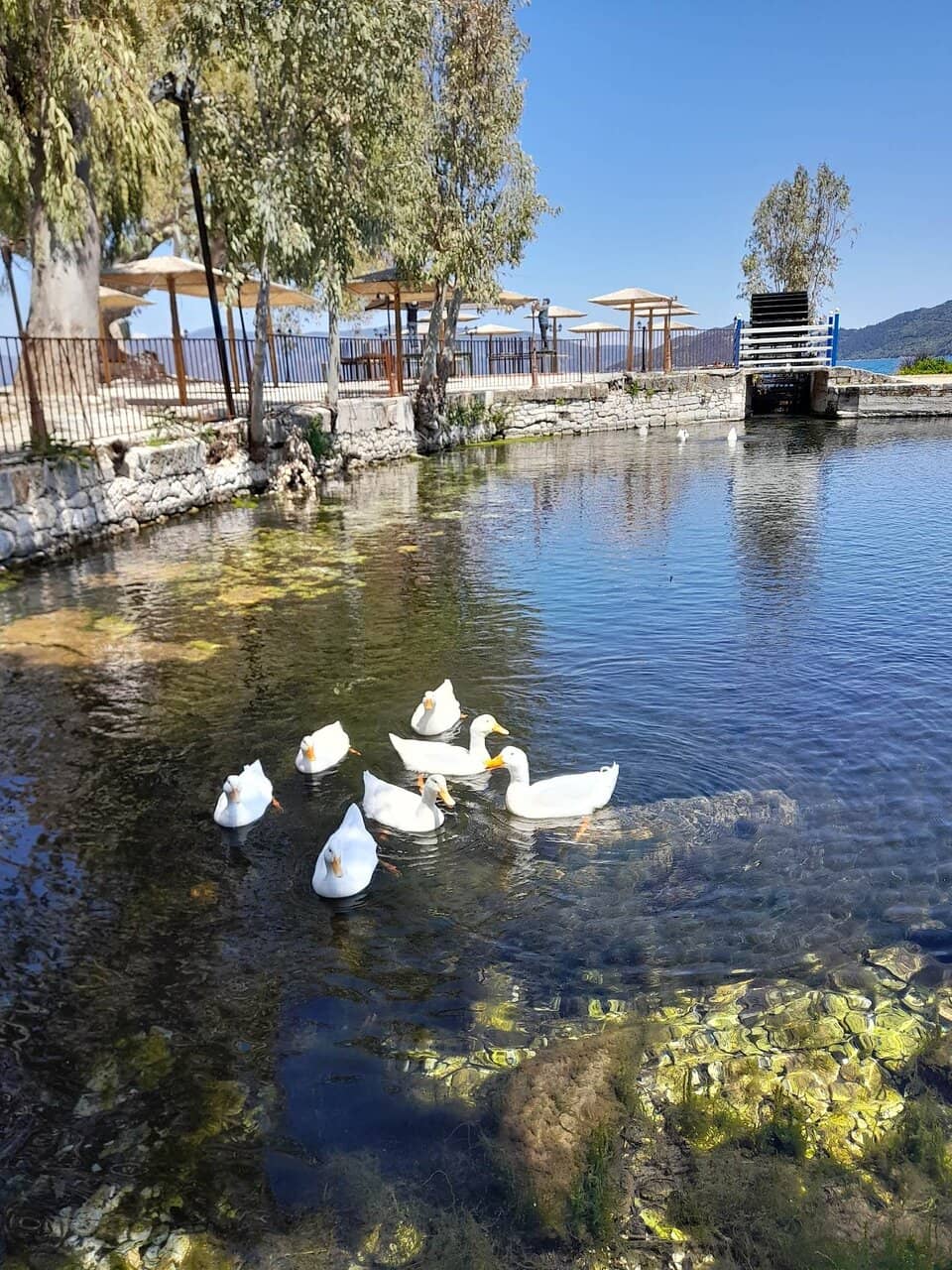 Melissani Cave's Sunlit Waters
