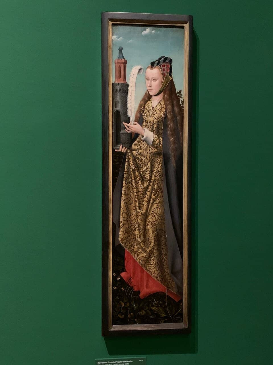 Conservation Exhibit