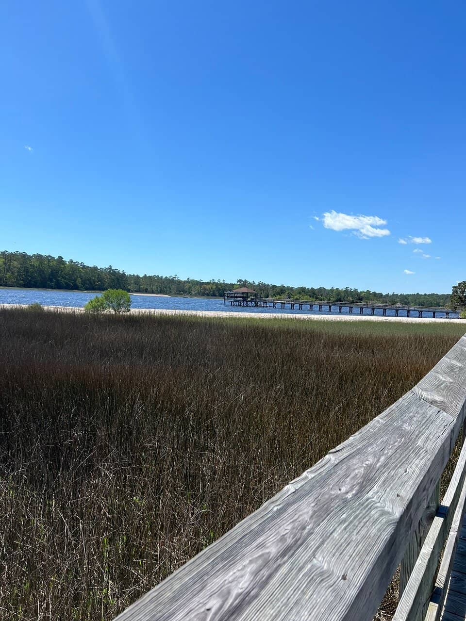 Intracoastal Waterway Views