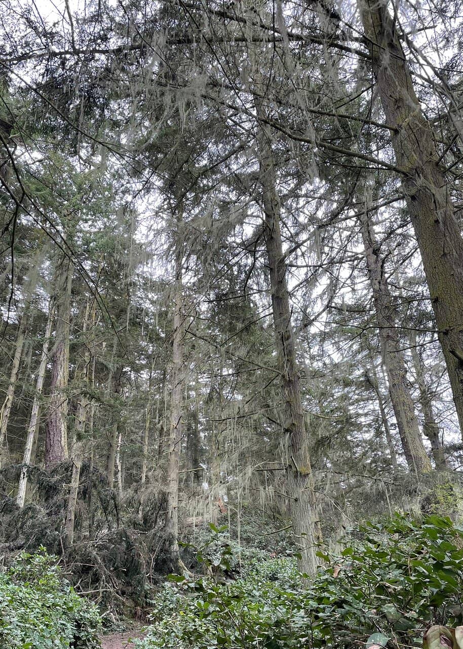 Historic Fort Ebey Batteries