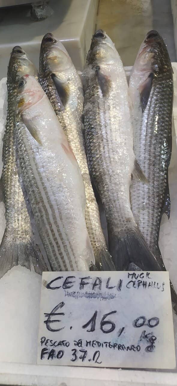 Freshly Prepared Seafood