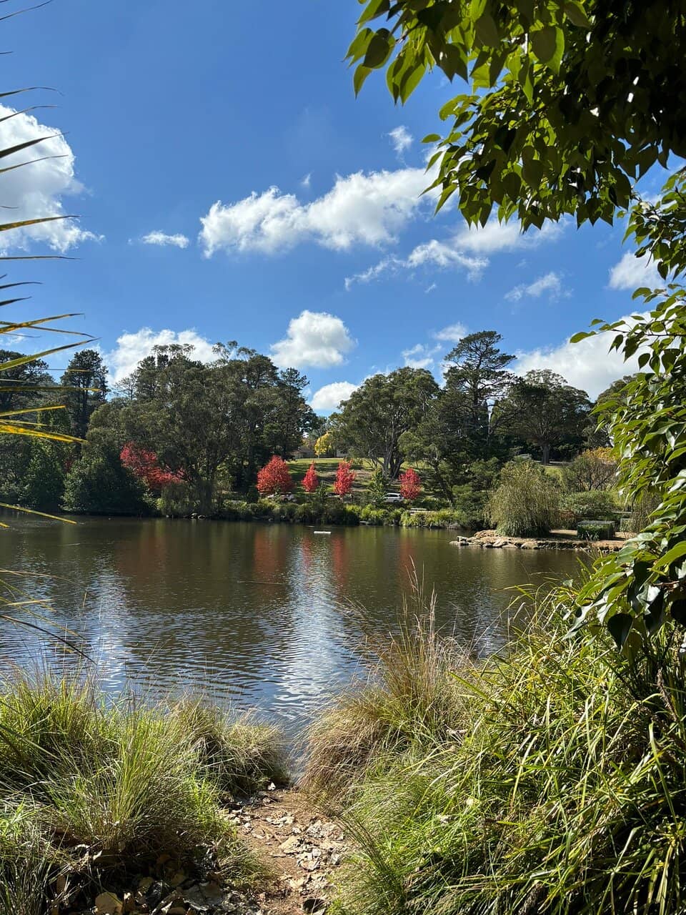 Children's Playground