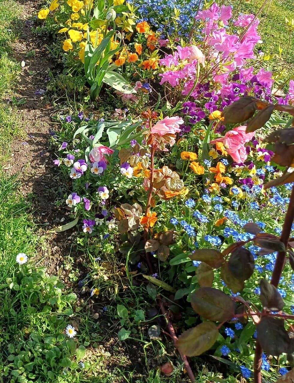 Bellagio's Enchanting Streets