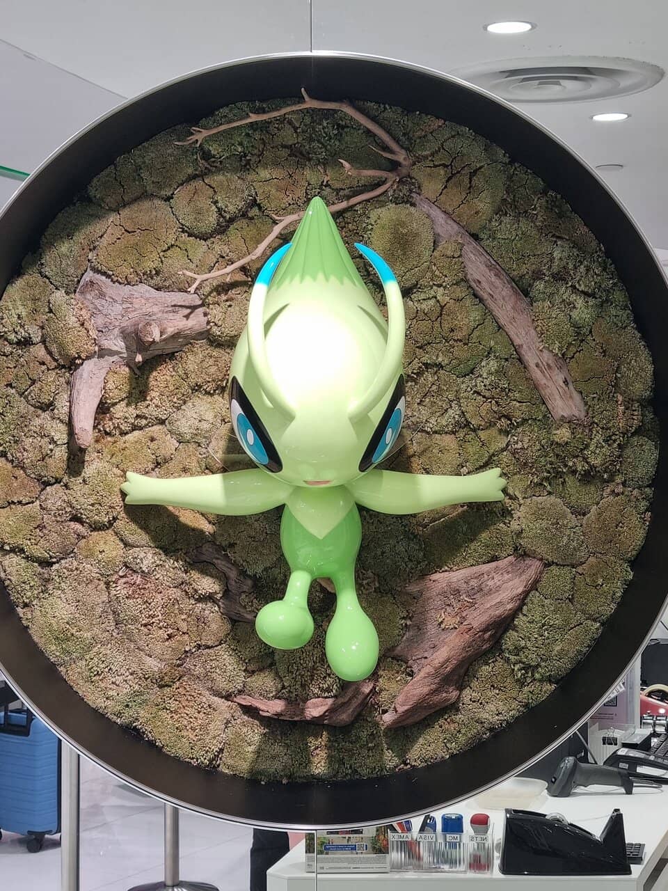 Tandemaus & Starter Merch