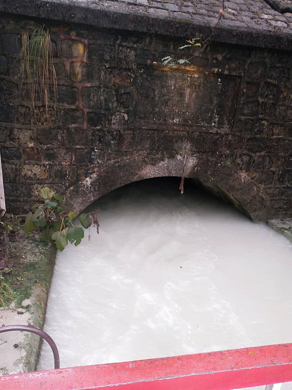 The Milky White Gorge