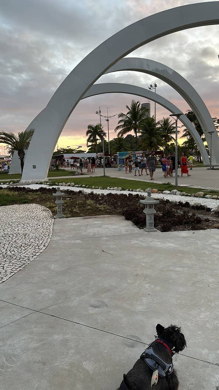 Children's Play Area