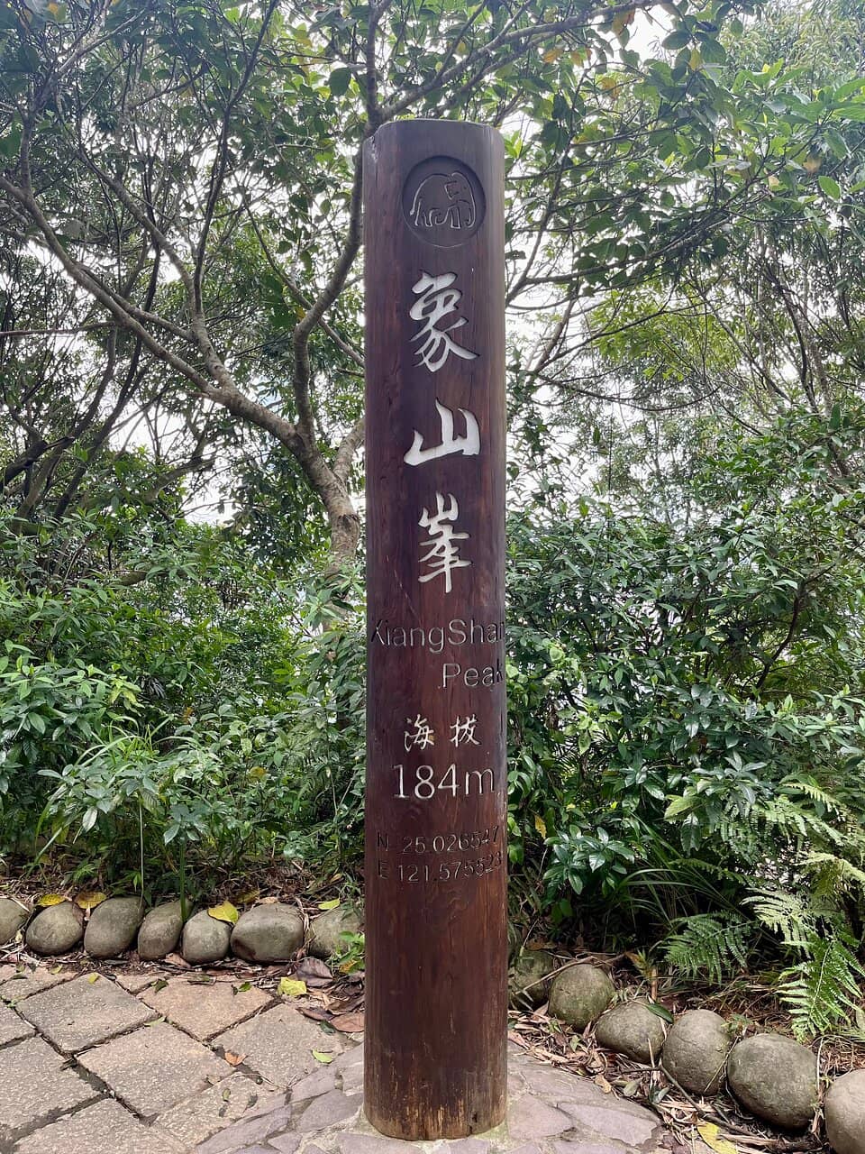 Taipei 101 Skyline View