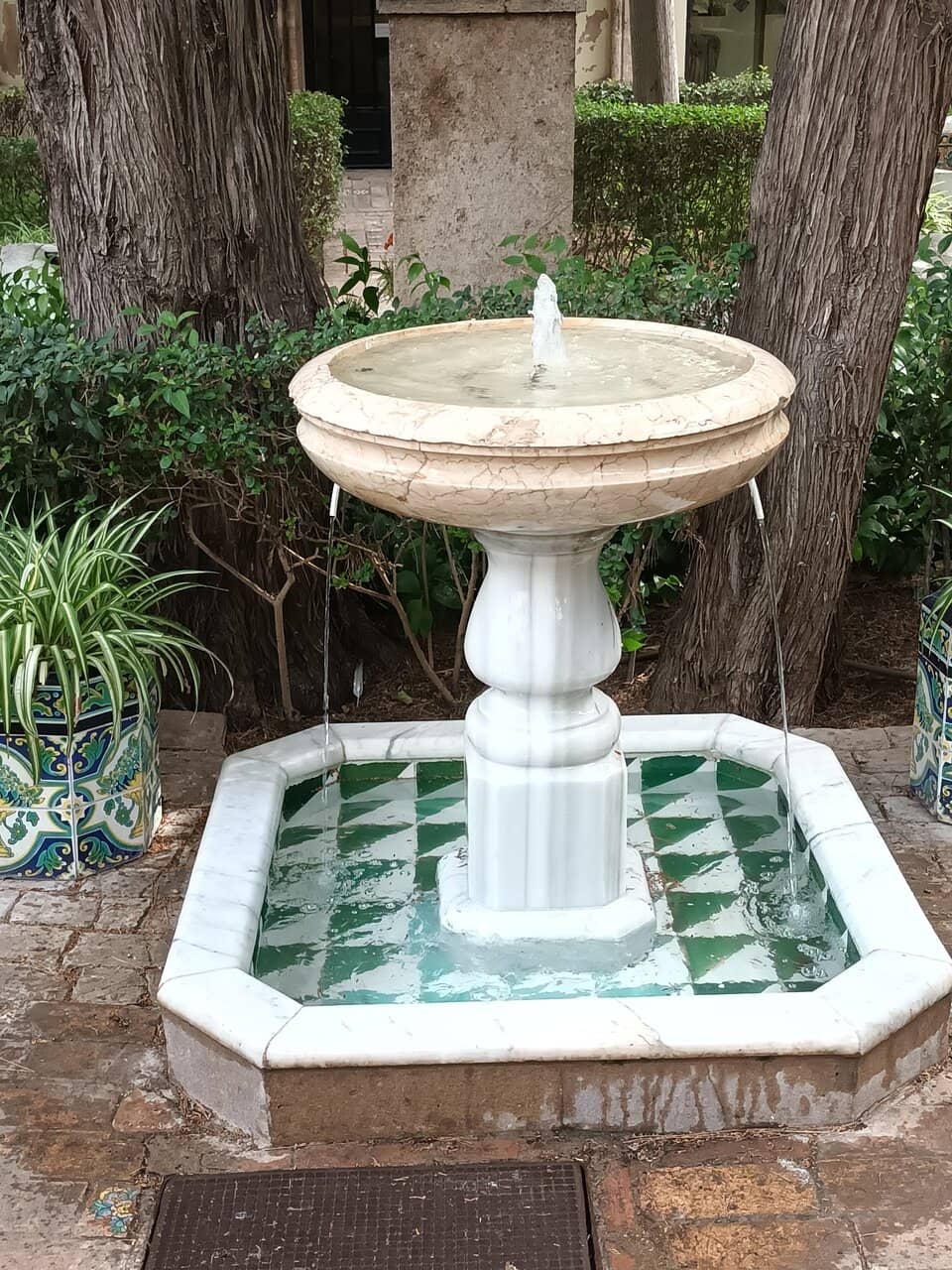 The Mediterranean Garden