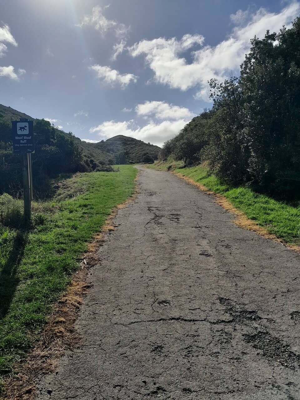 The Climb and Walkways