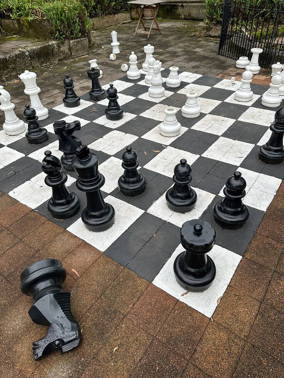 Wine Tasting Experience