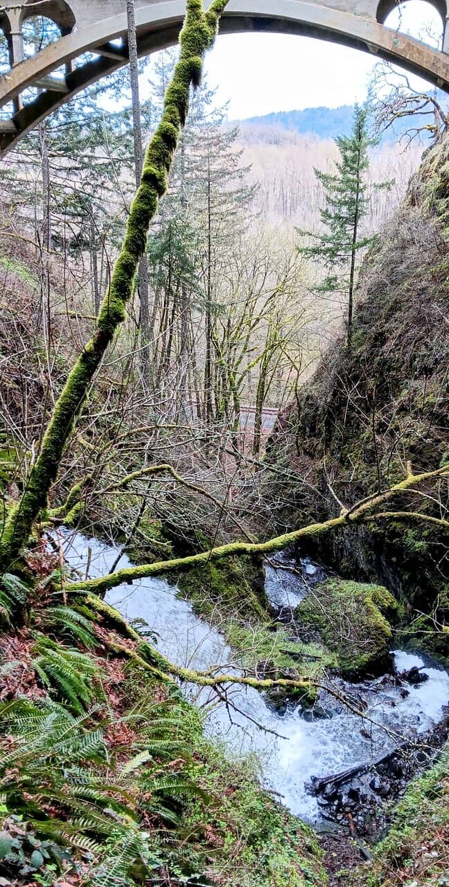 Secluded River Trail