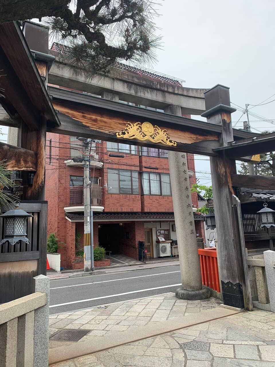 Lucky Bamboo (Fuku Sasa)