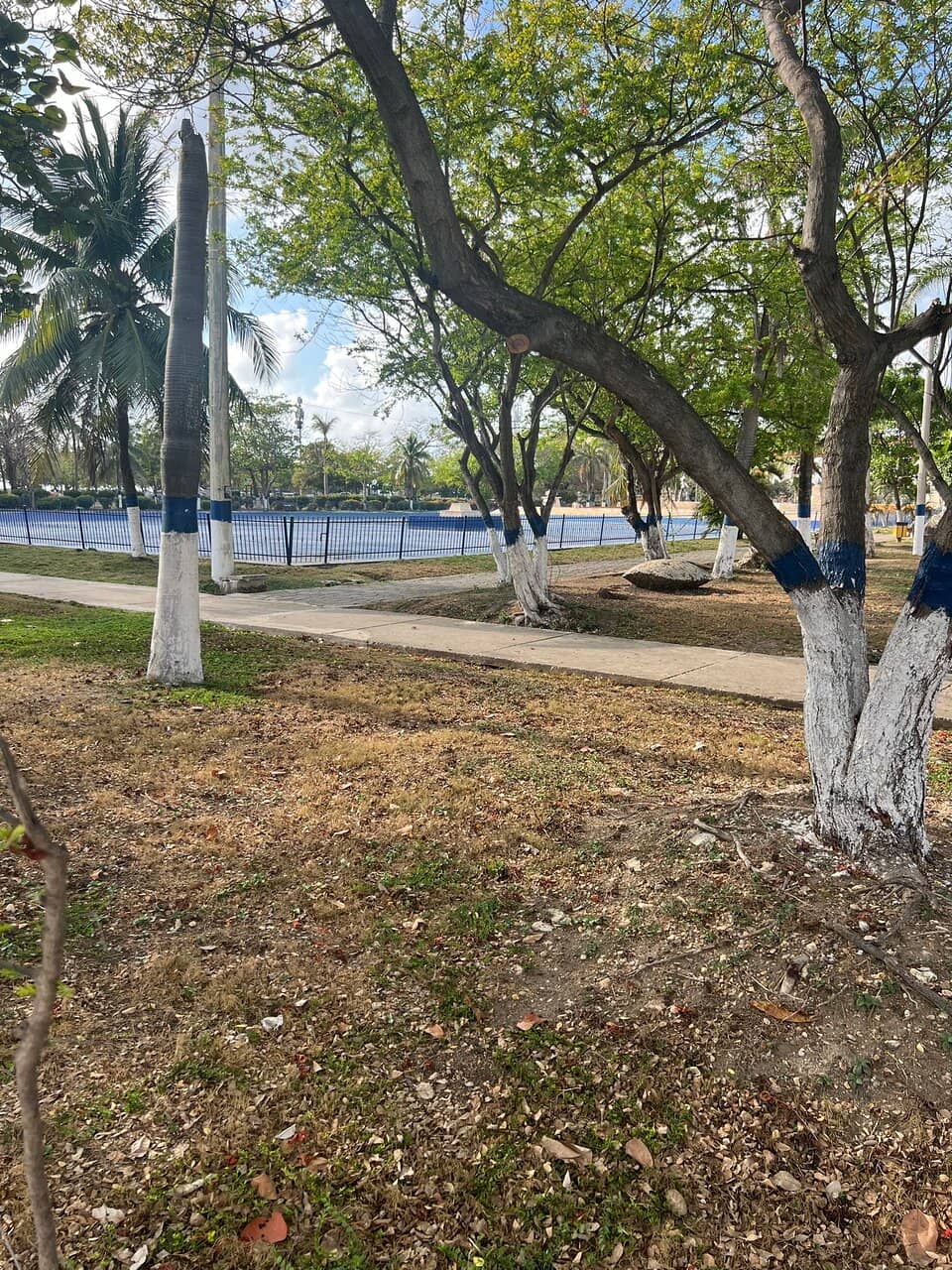 Festive Fairground Fun