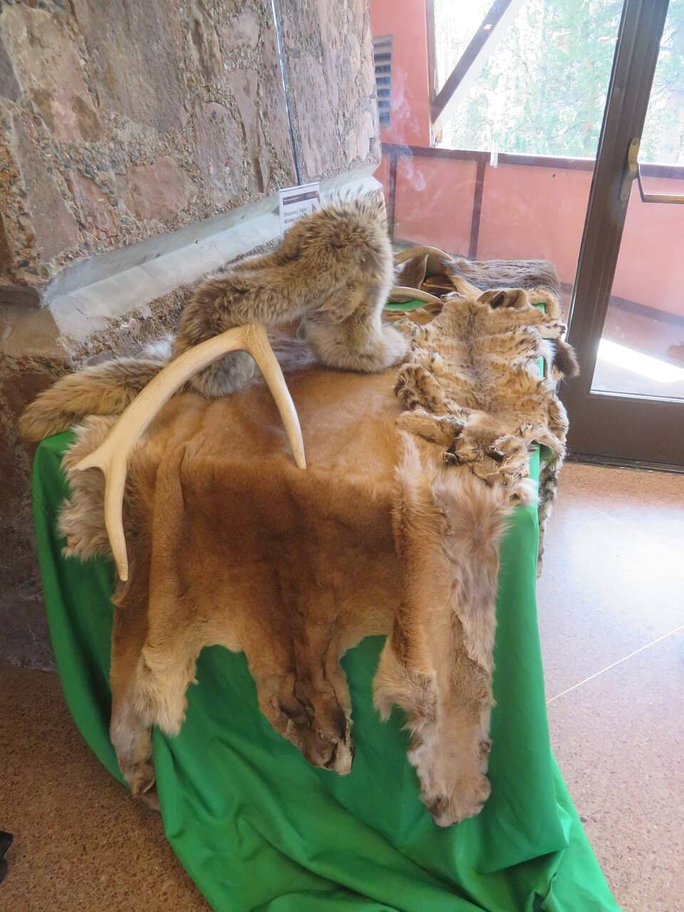 Topographical Relief Map