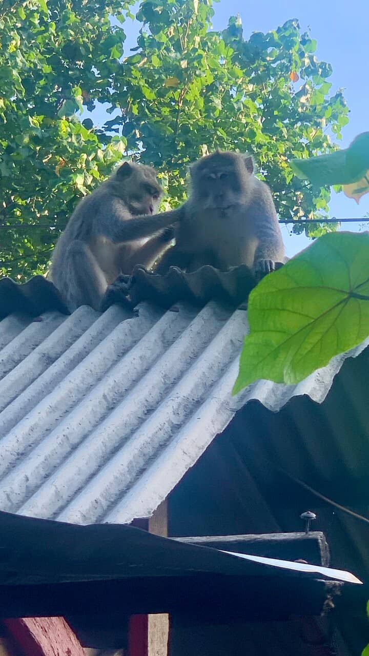Transparent Kayak Adventure
