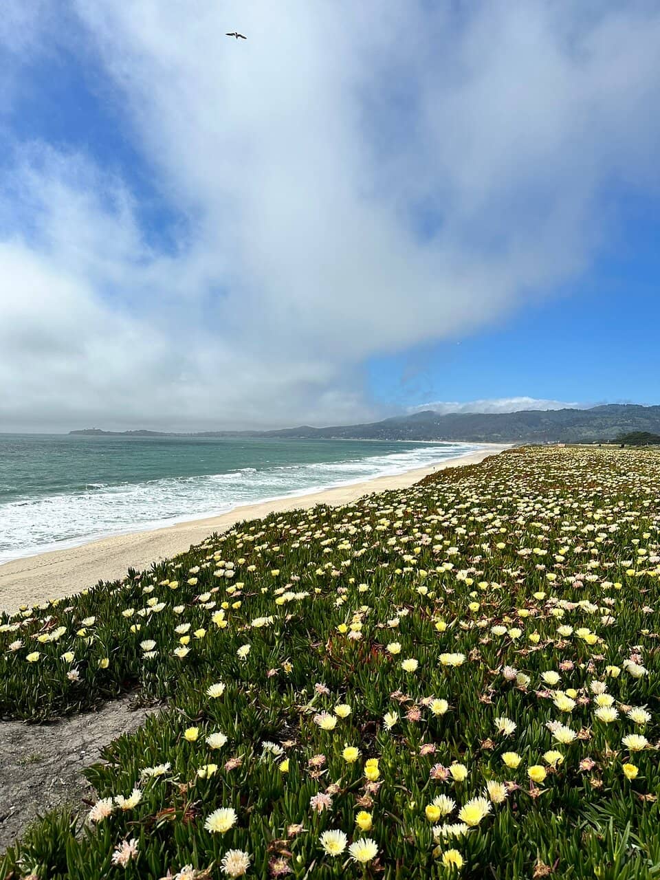 Blufftop Trail Views