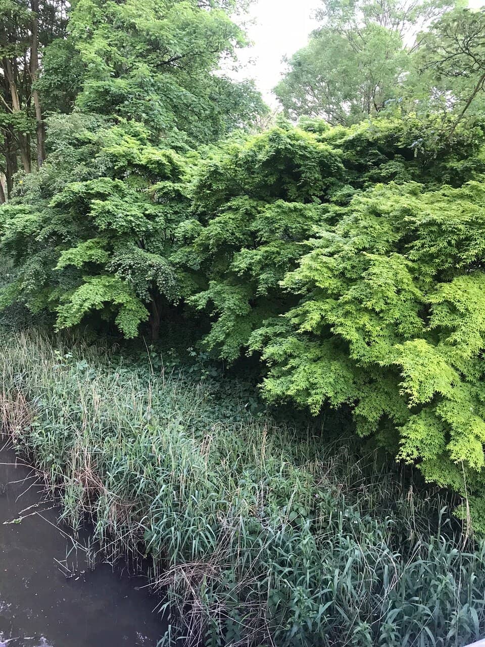 Green Spaces & Waterways