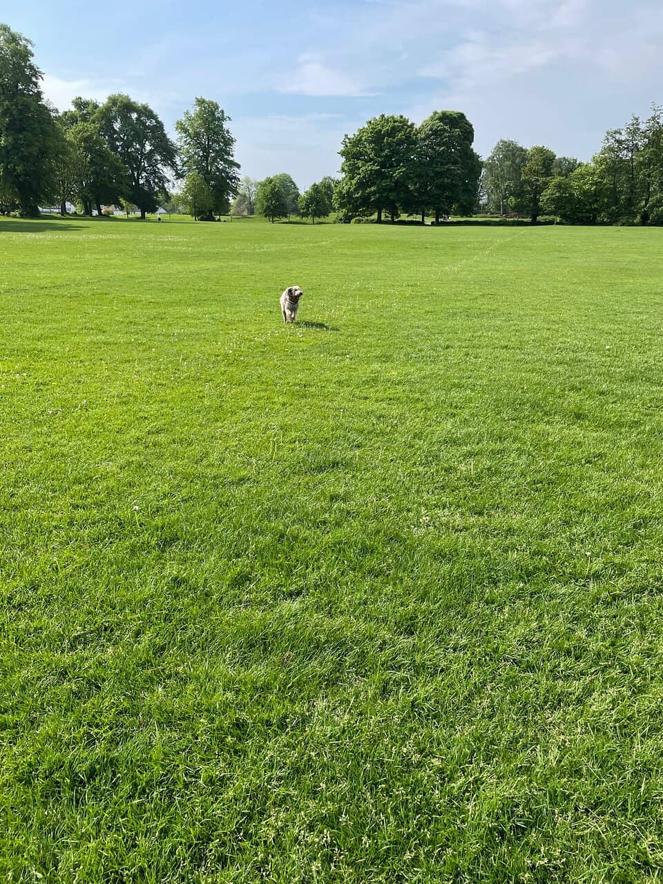 Children's Playground