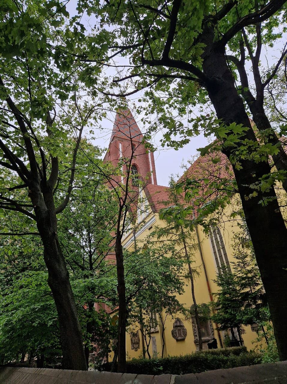 Vertical photo