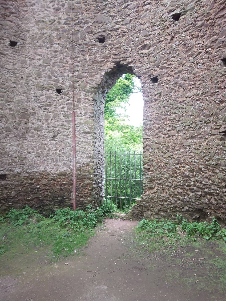 Autumnal Woodland Walk