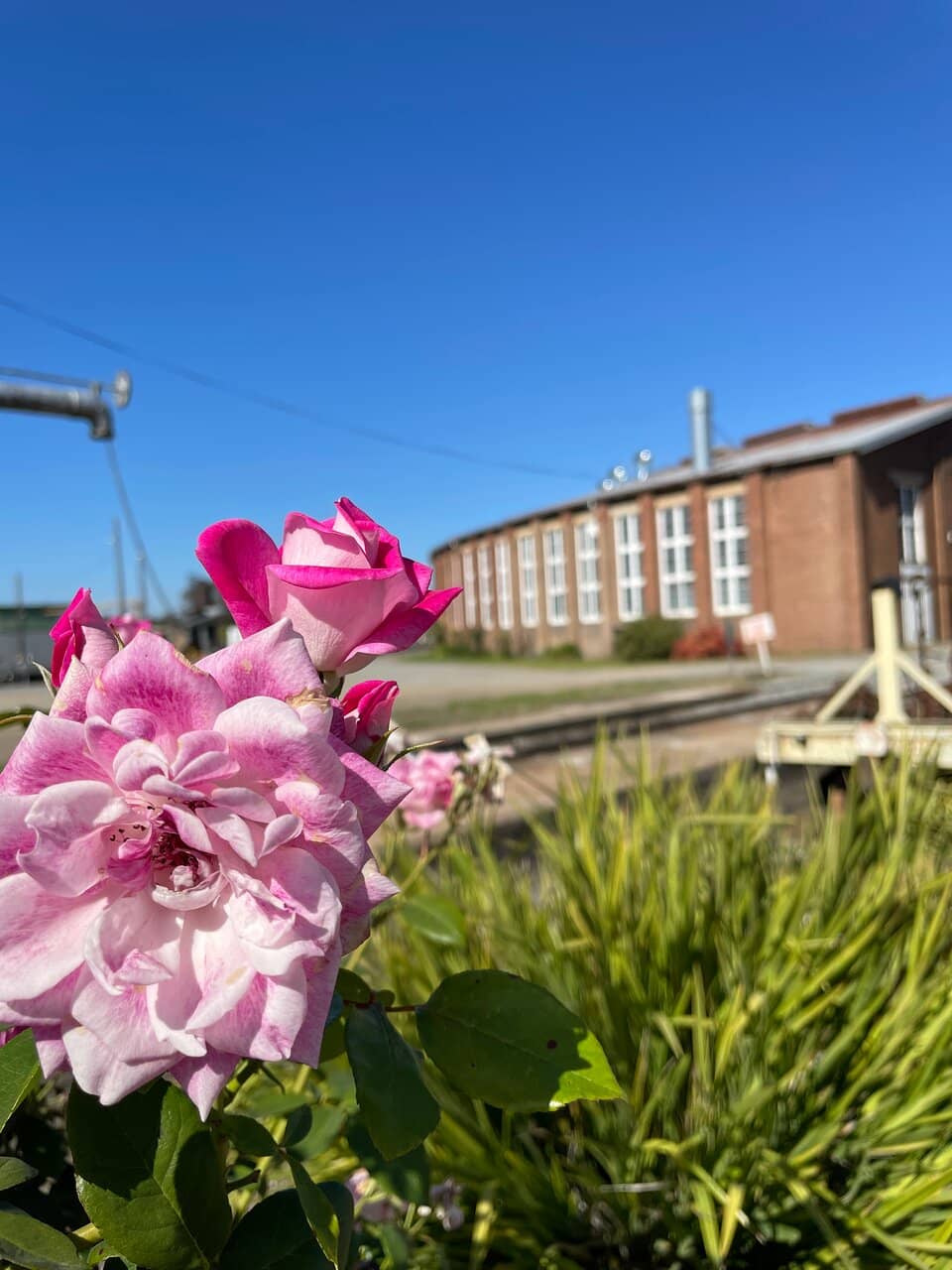Model Railway Display