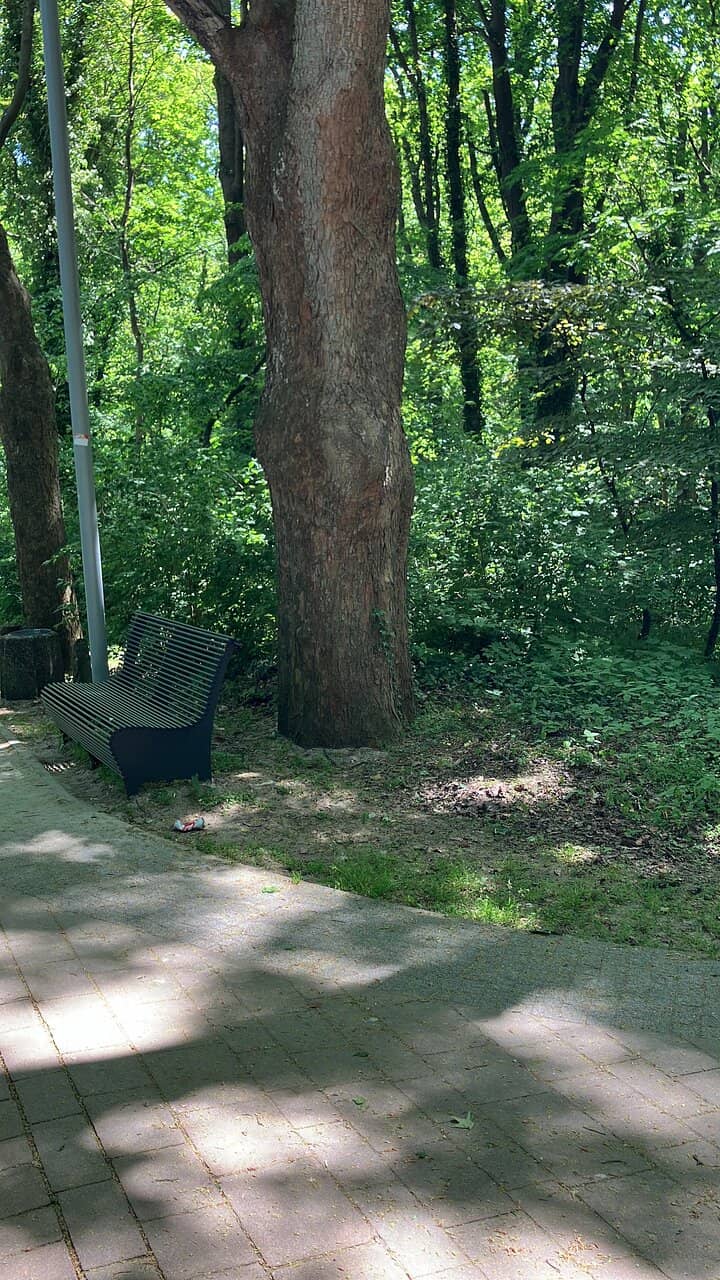 West Oder River Views