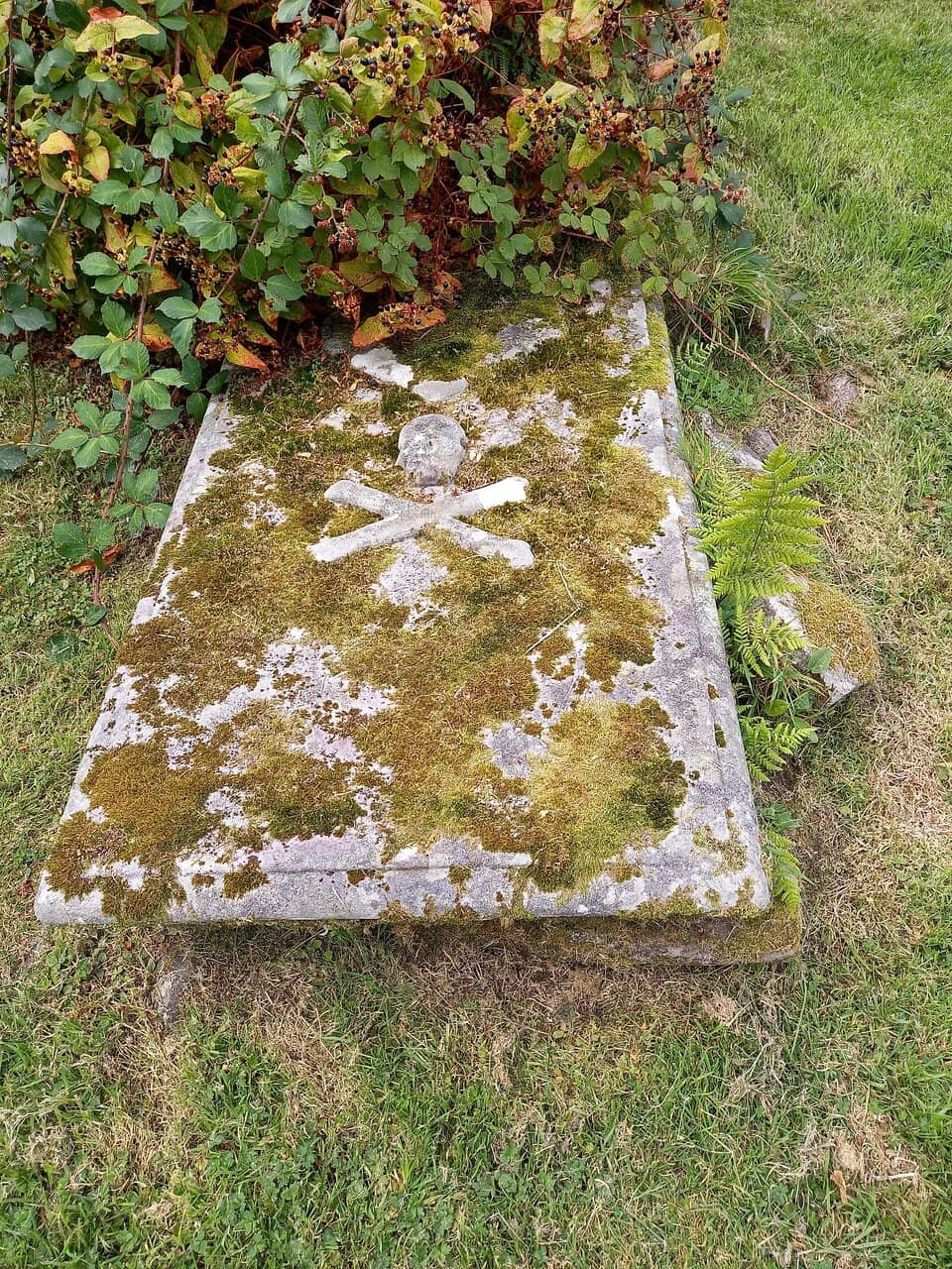 Peaceful Woodland Walks