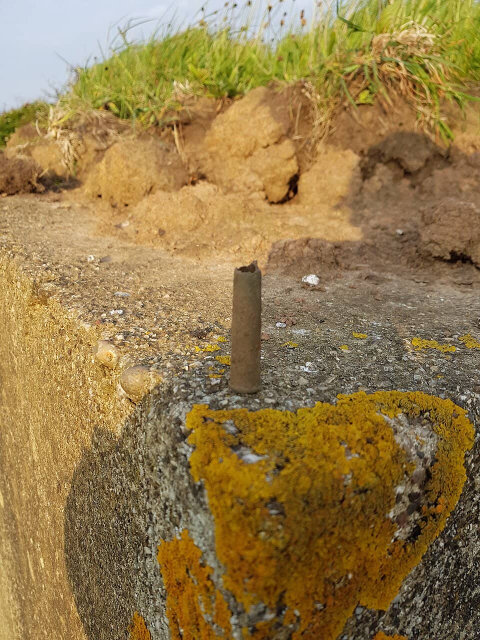 Scenic Coastal Walks